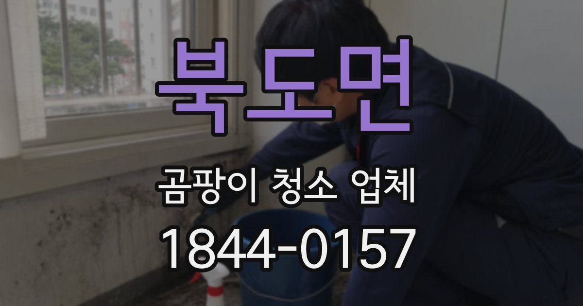 북도면 곰팡이 청소 업체