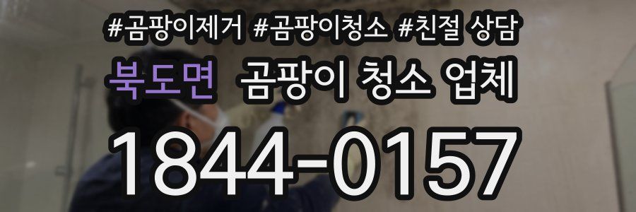 북도면 곰팡이 청소 업체