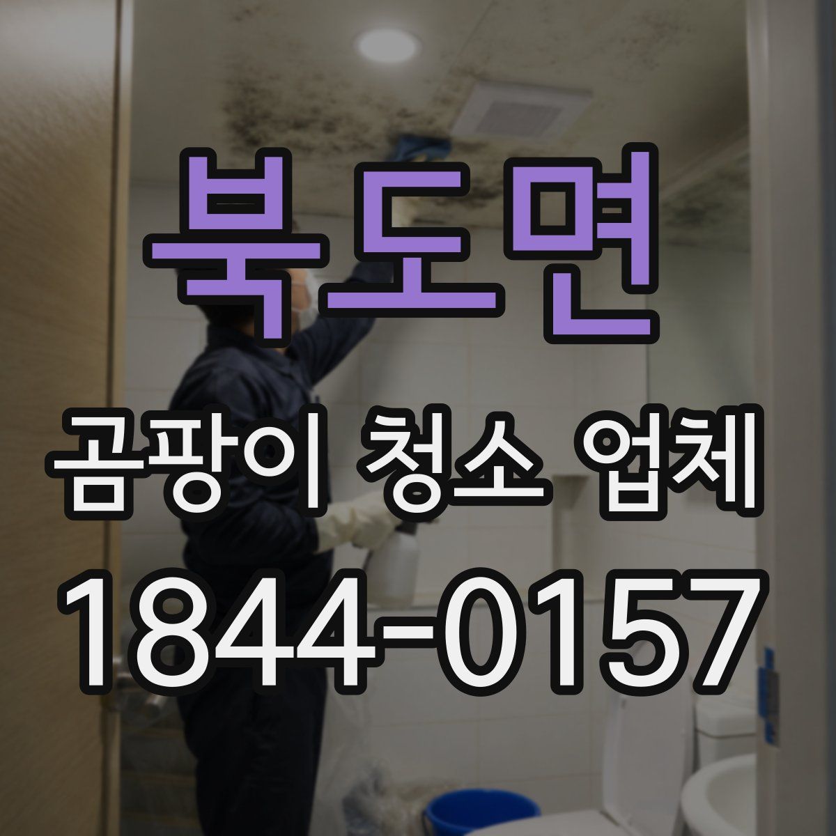북도면 곰팡이 청소 업체