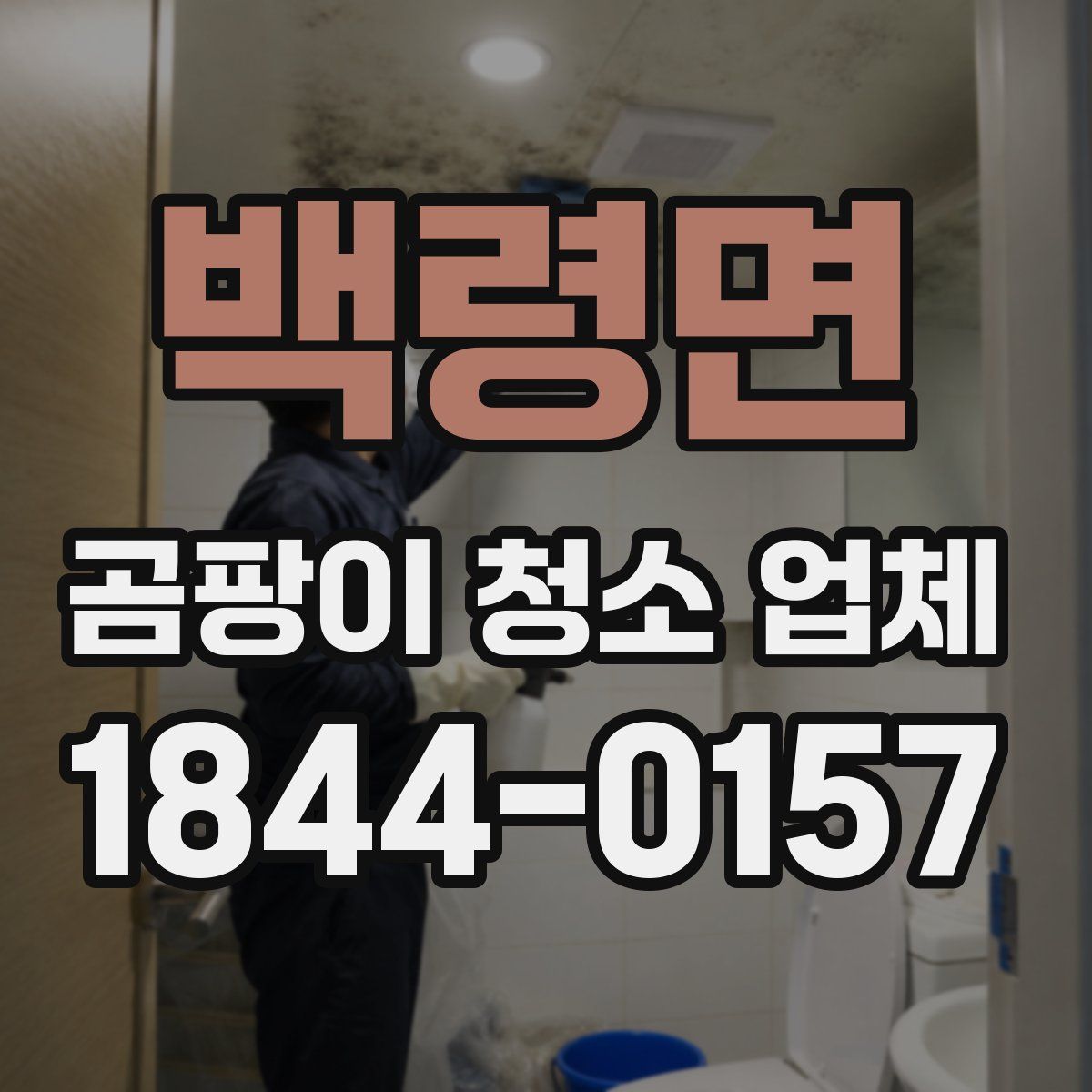 백령면 곰팡이 청소 업체