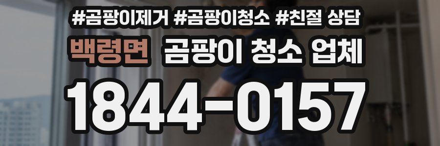 백령면 곰팡이 청소 업체