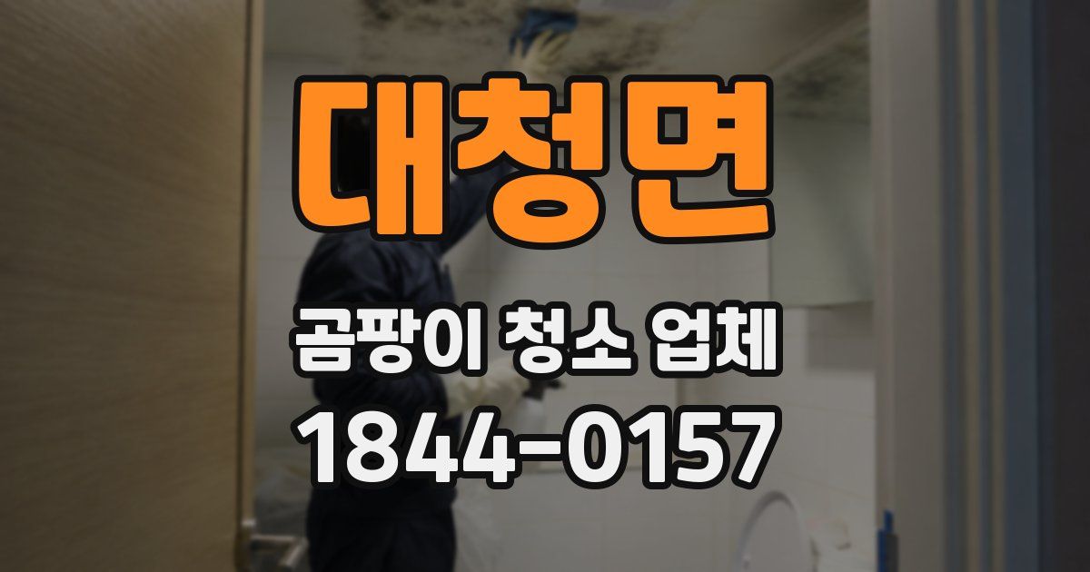 대청면 곰팡이 청소 업체
