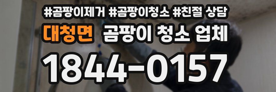 대청면 곰팡이 청소 업체