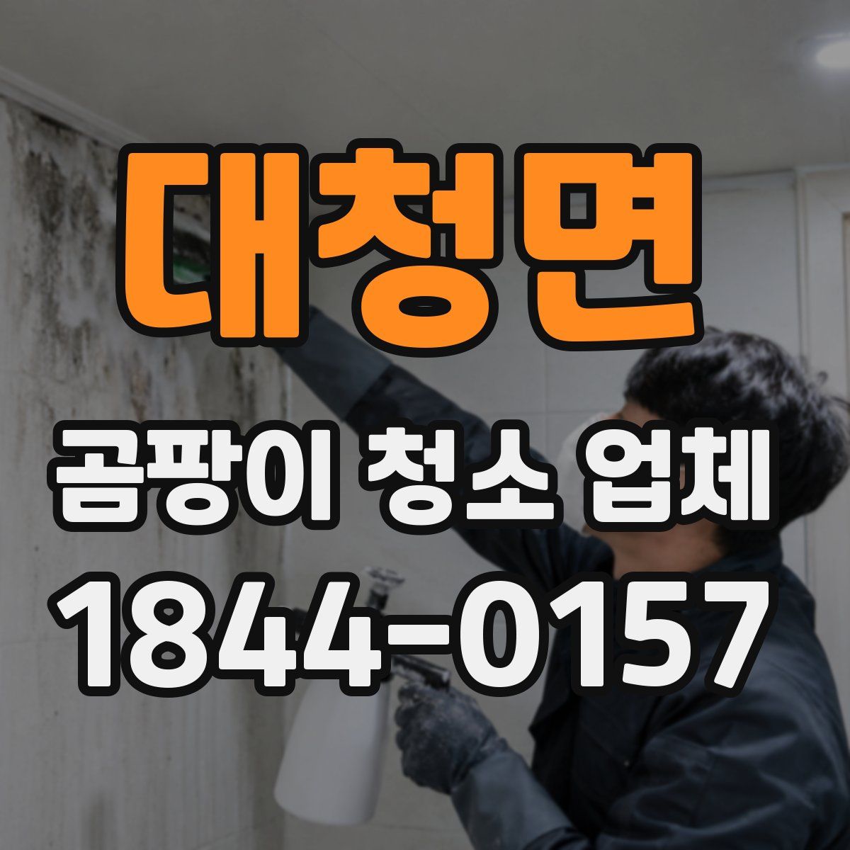 대청면 곰팡이 청소 업체