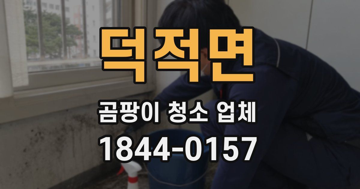 덕적면 곰팡이 청소 업체