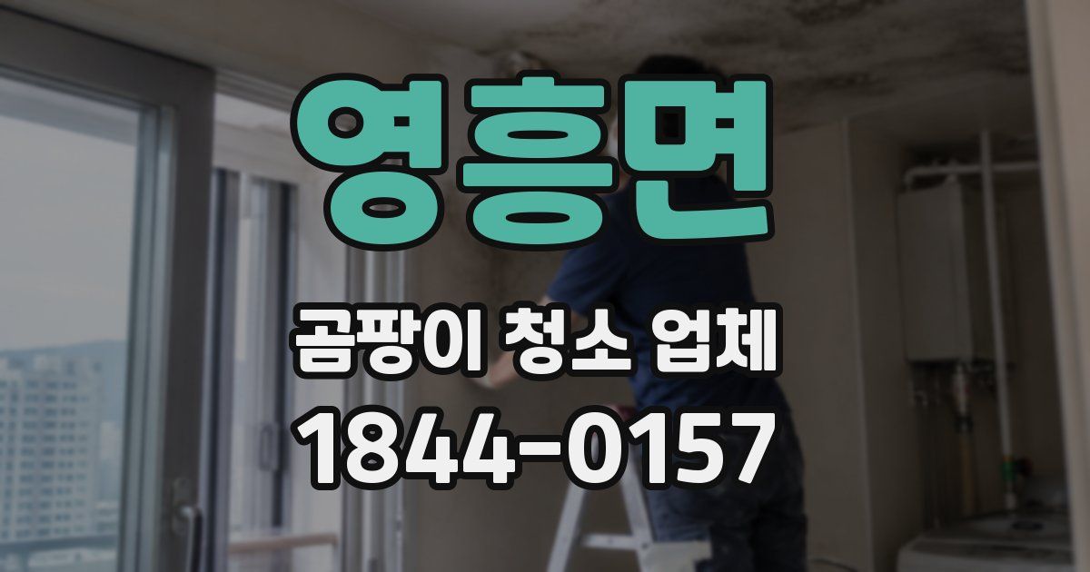 영흥면 곰팡이 청소 업체