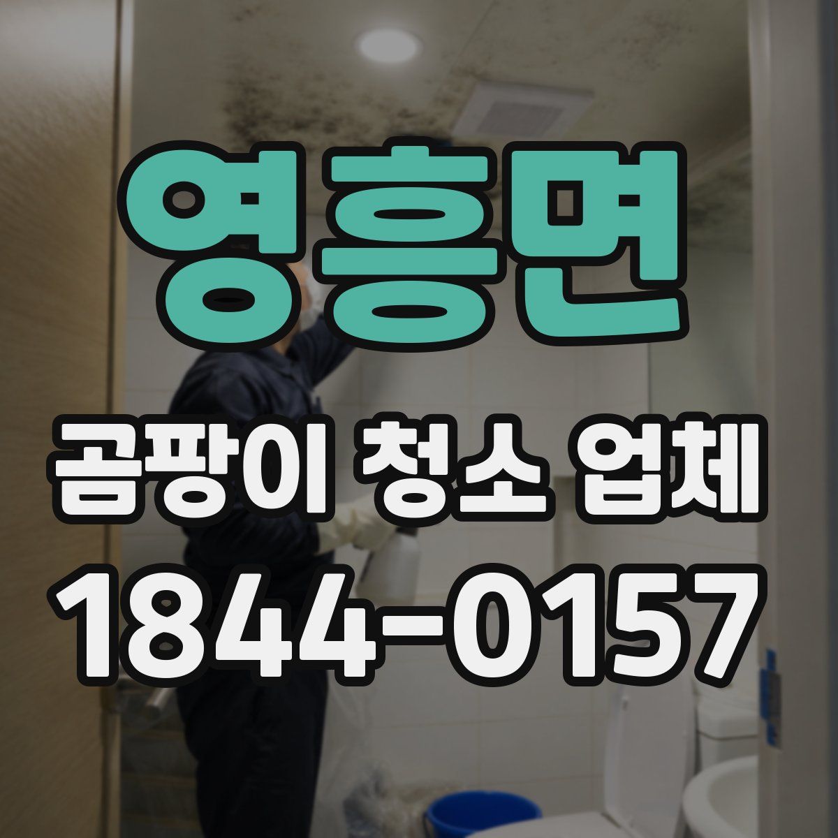 영흥면 곰팡이 청소 업체