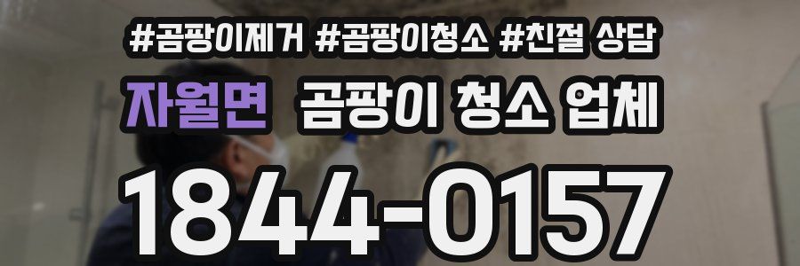 자월면 곰팡이 청소 업체