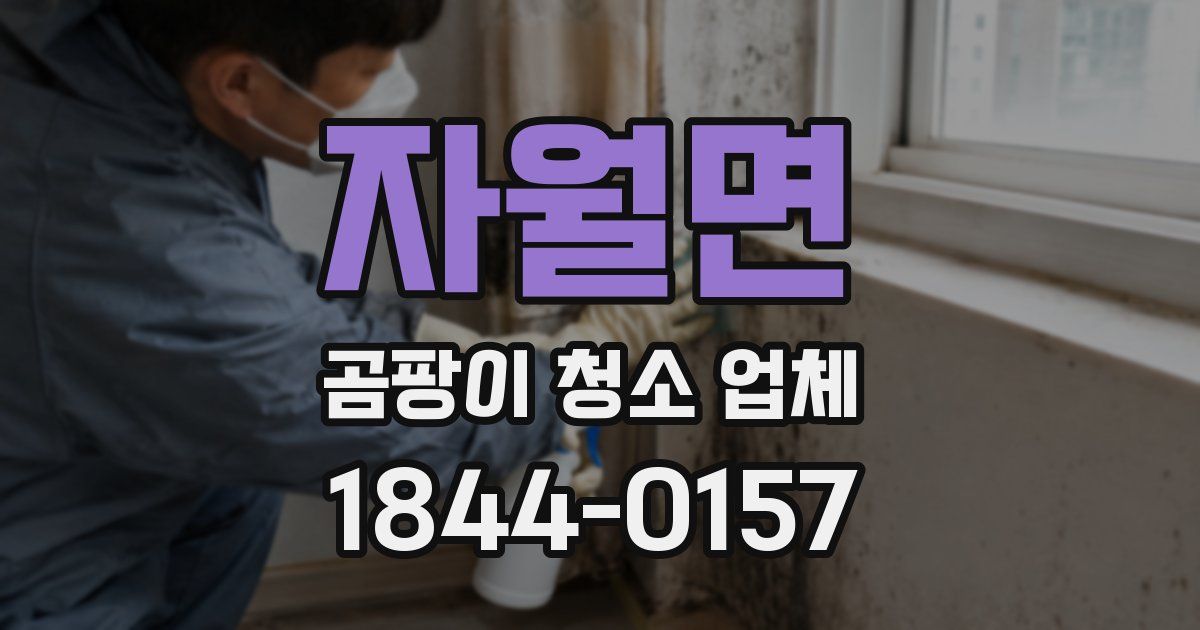 자월면 곰팡이 청소 업체