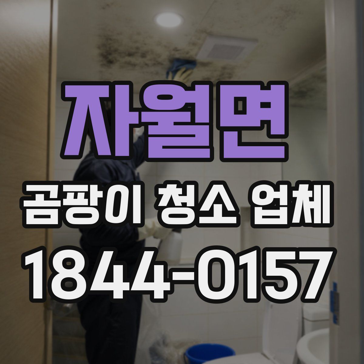 자월면 곰팡이 청소 업체
