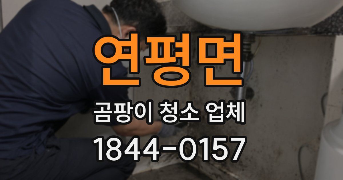 연평면 곰팡이 청소 업체