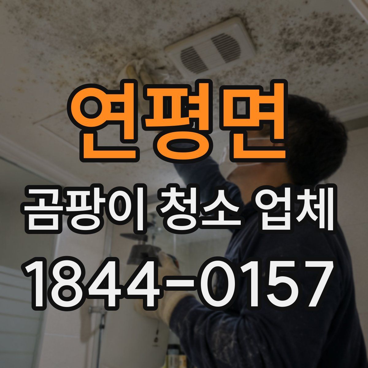연평면 곰팡이 청소 업체