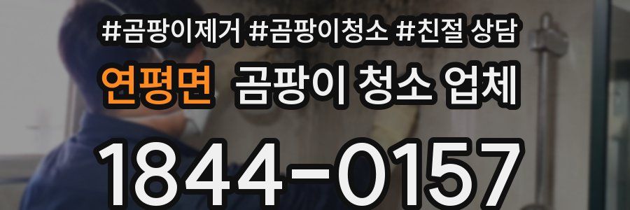 연평면 곰팡이 청소 업체