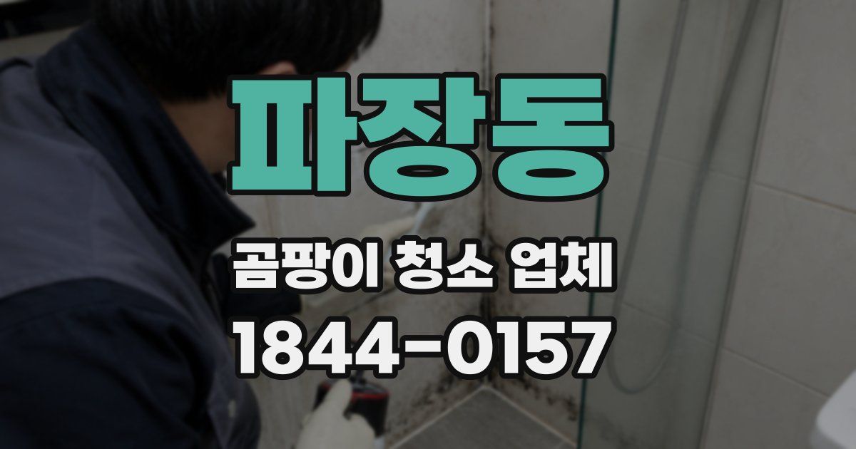 파장동 곰팡이 청소 업체