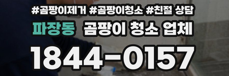 파장동 곰팡이 청소 업체