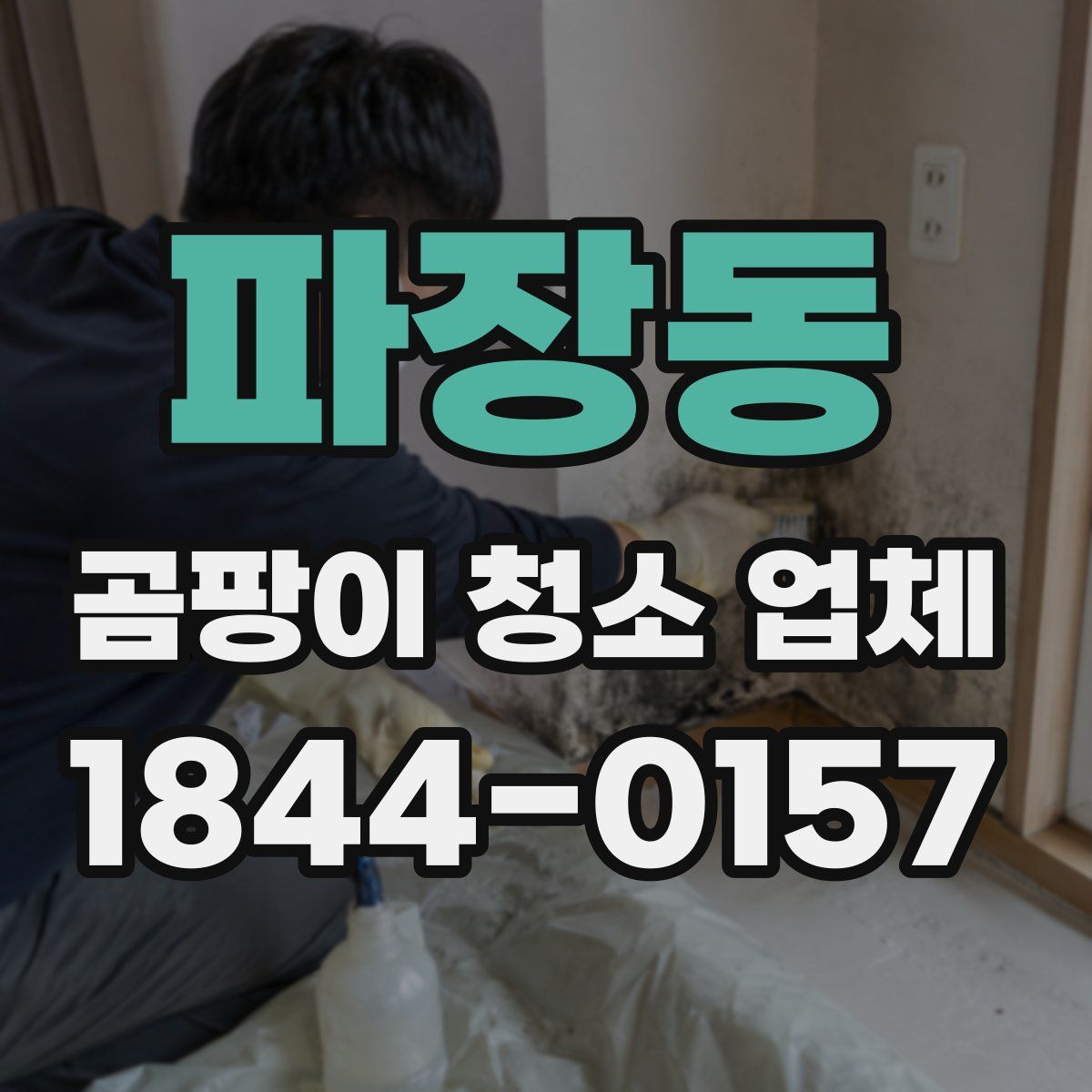 파장동 곰팡이 청소 업체