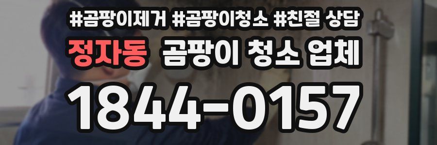 정자동 곰팡이 청소 업체