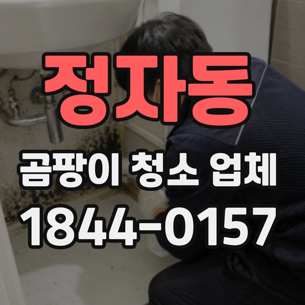 정자동 곰팡이 청소 업체