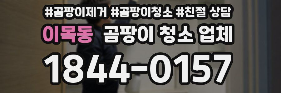 이목동 곰팡이 청소 업체