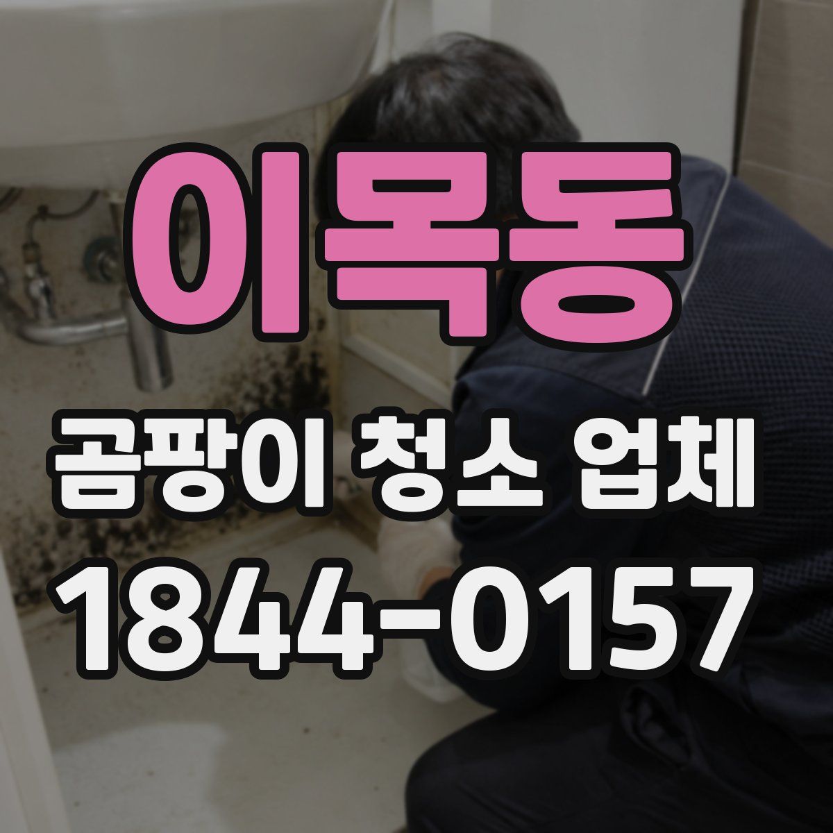 이목동 곰팡이 청소 업체
