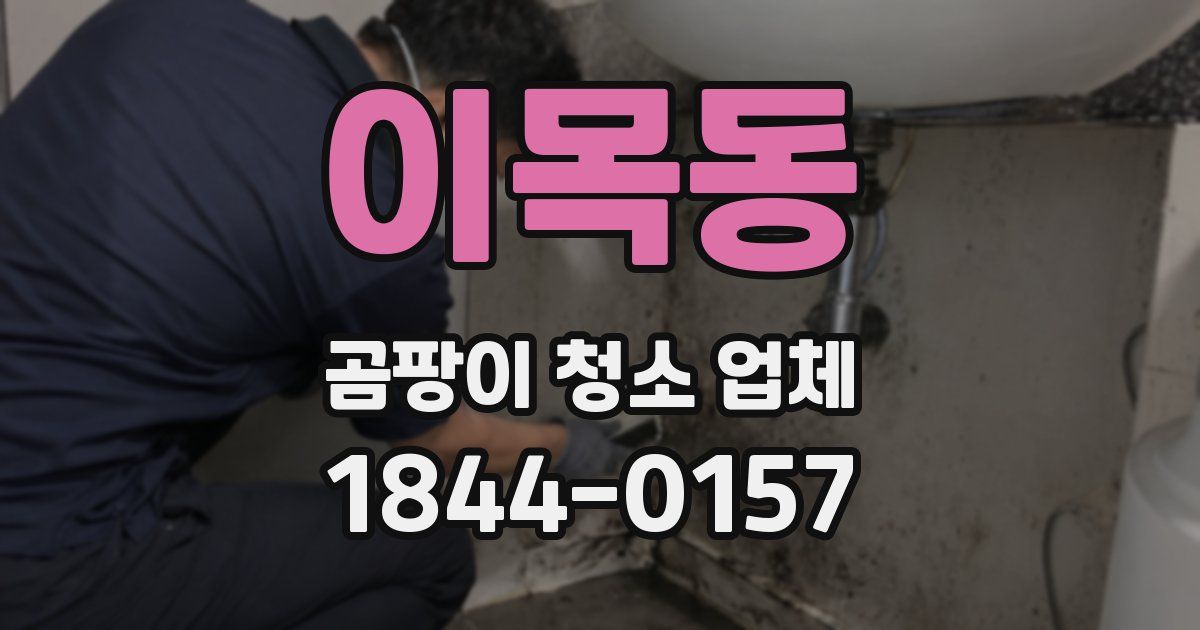 이목동 곰팡이 청소 업체