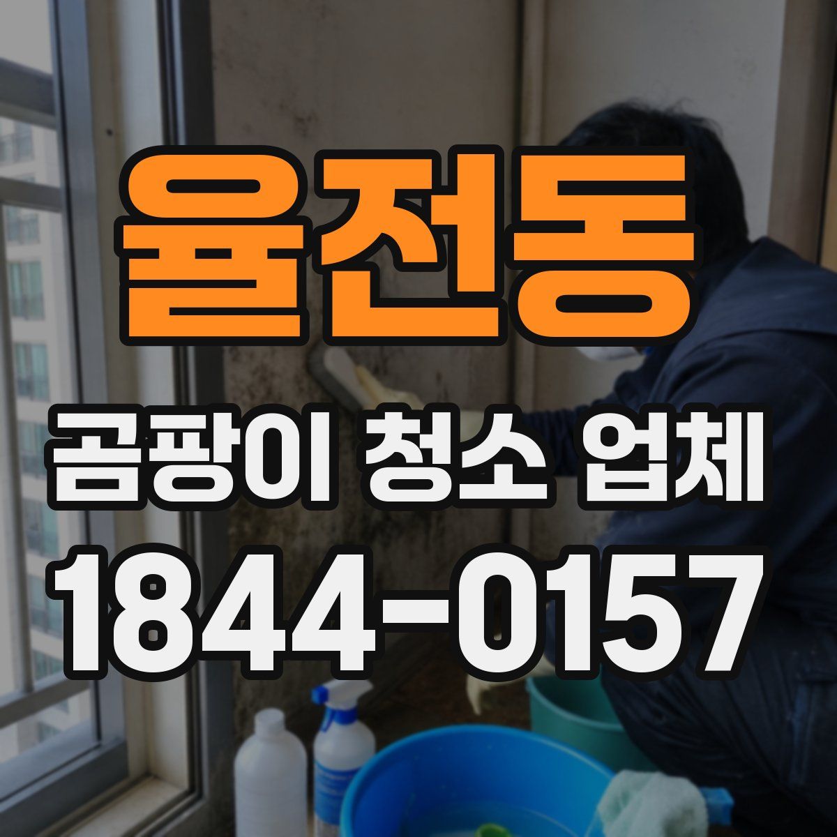 율전동 곰팡이 청소 업체