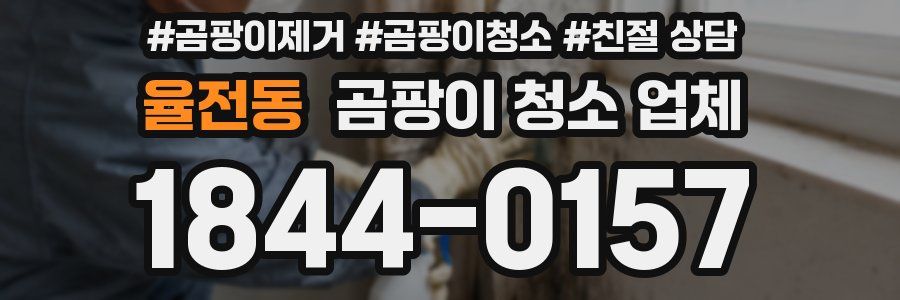 율전동 곰팡이 청소 업체