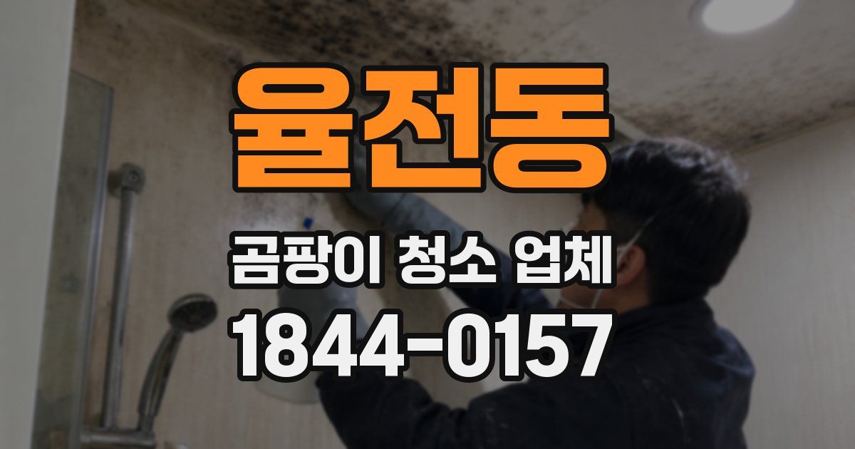 율전동 곰팡이 청소 업체