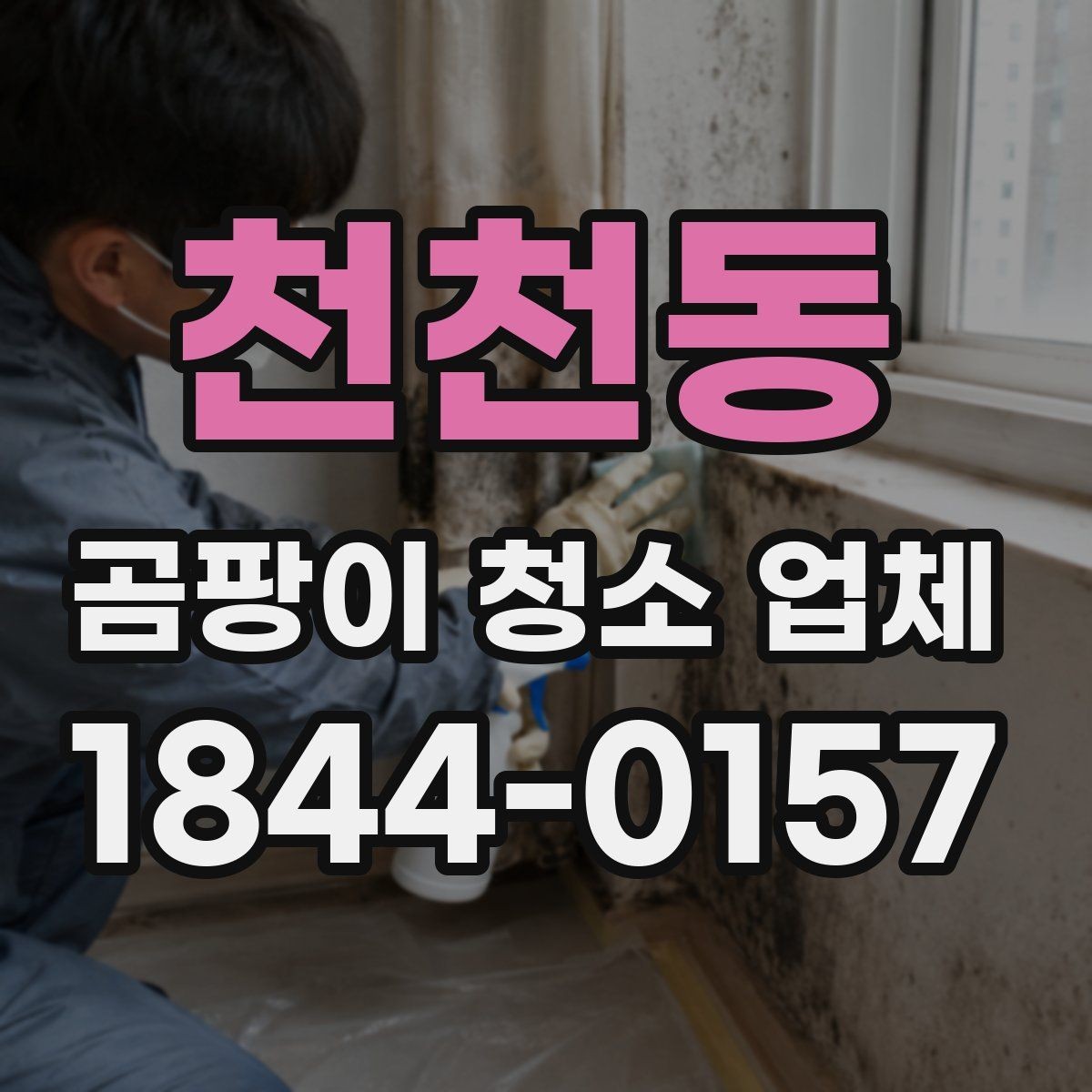 천천동 곰팡이 청소 업체 문의 전에 알아야 할 기본 정보