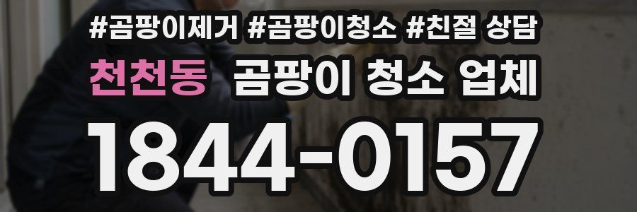 천천동 곰팡이 청소 업체