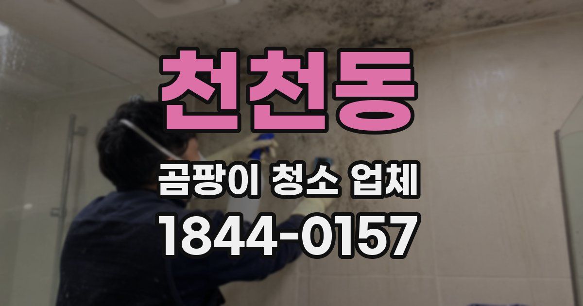 천천동 곰팡이 청소 업체