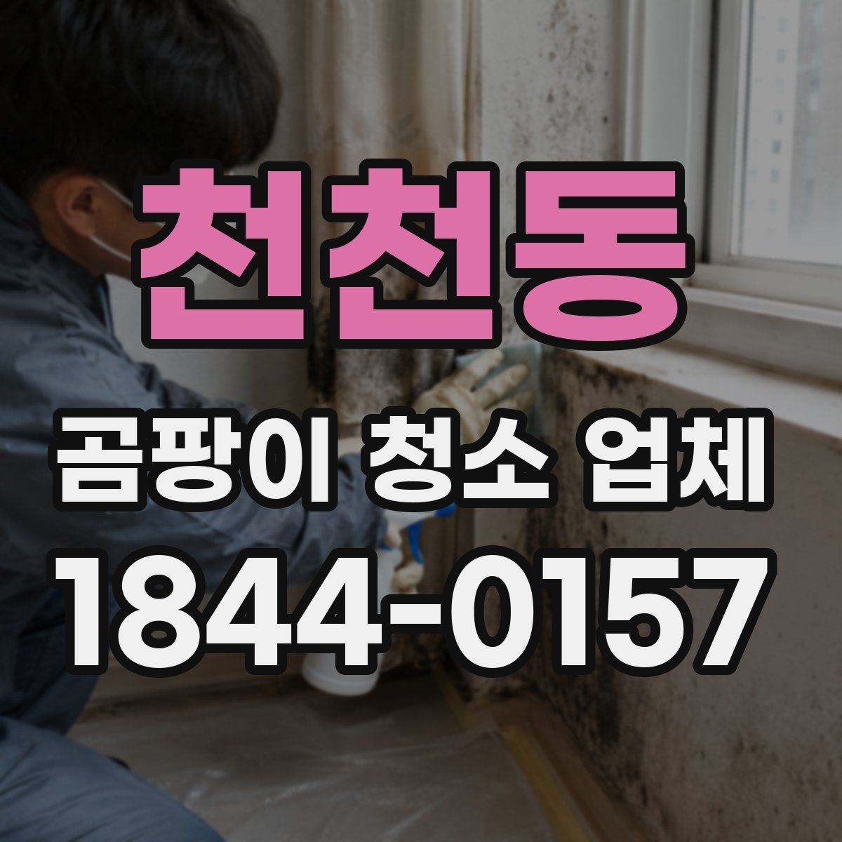 천천동 곰팡이 청소 업체