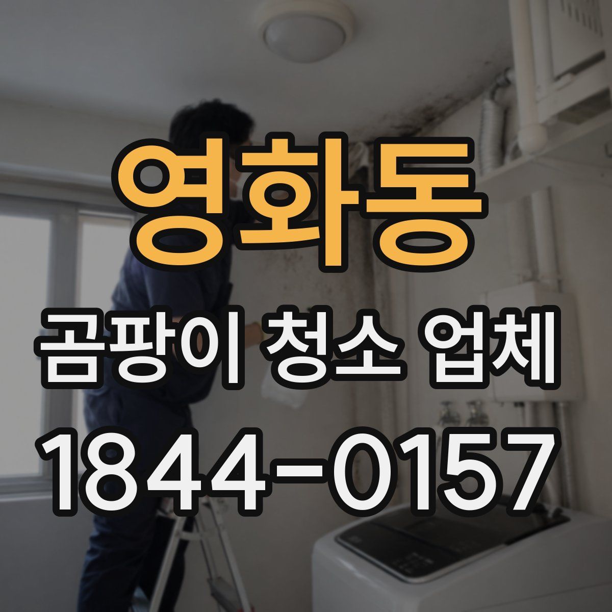 영화동 곰팡이 청소 업체
