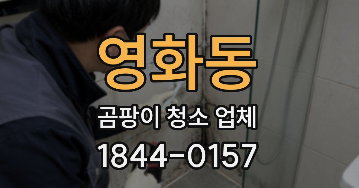 영화동 곰팡이 청소 업체