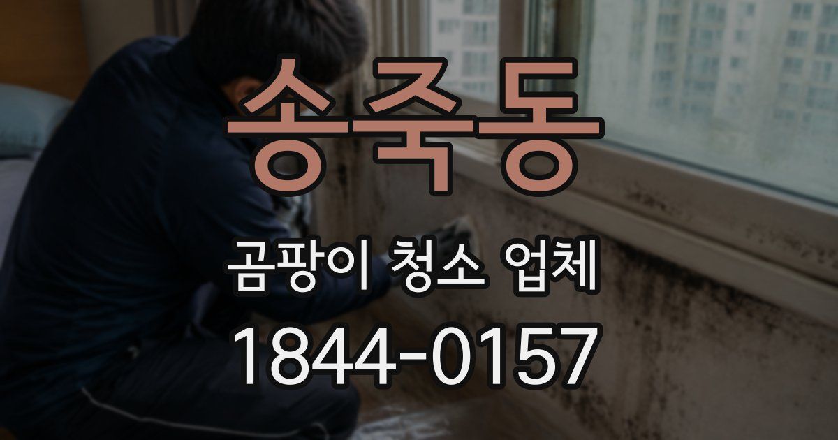 송죽동 곰팡이 청소 업체