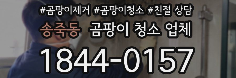 송죽동 곰팡이 청소 업체