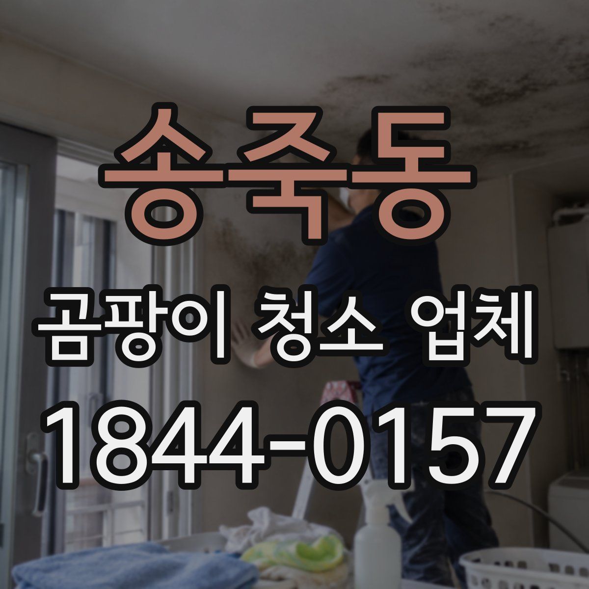 송죽동 곰팡이 청소 업체