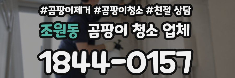 조원동 곰팡이 청소 업체