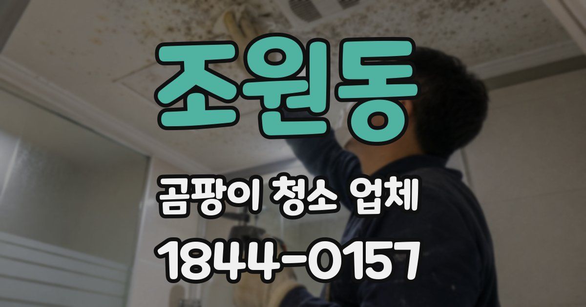 조원동 곰팡이 청소 업체