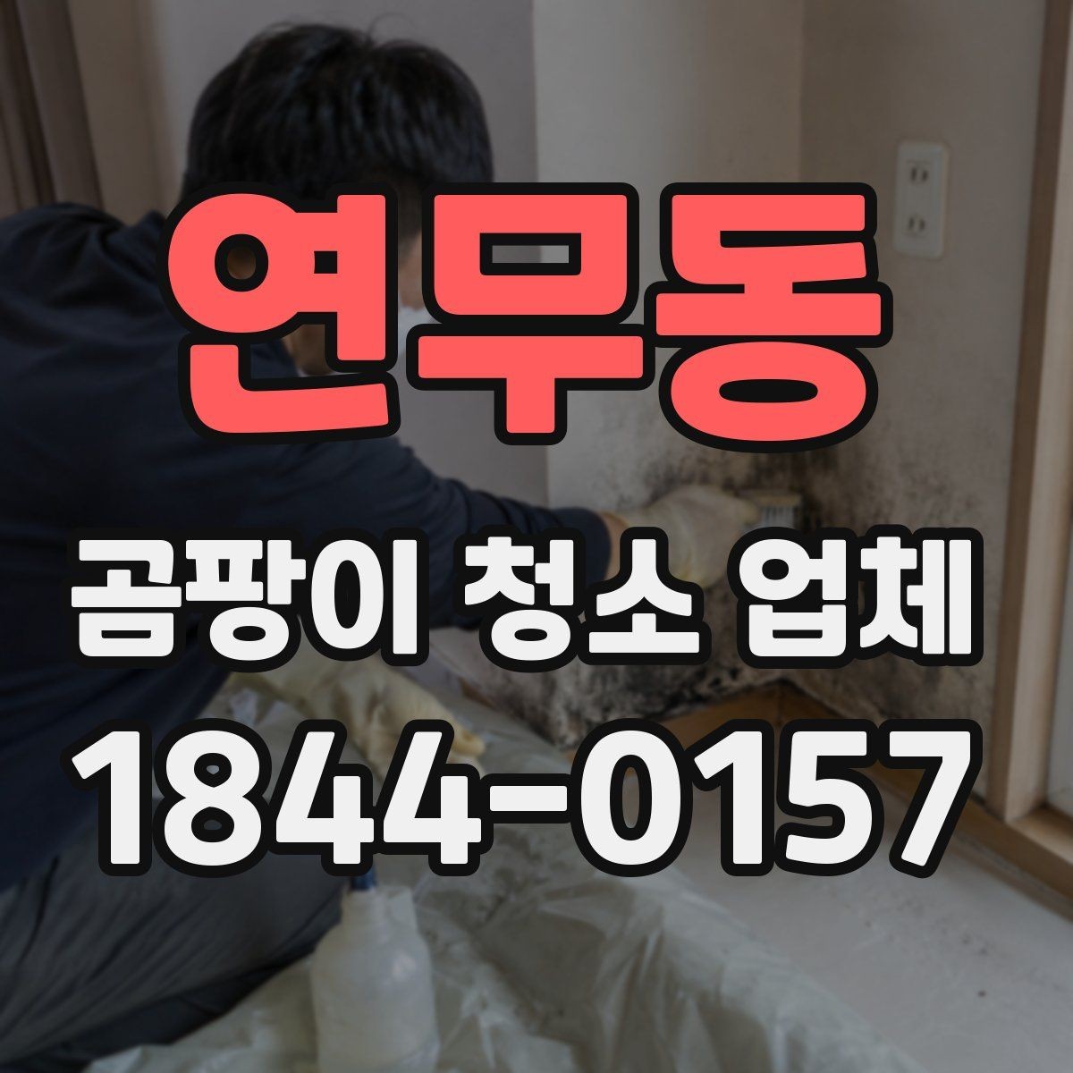 연무동 곰팡이 청소 업체 이용 전 알아둘 점