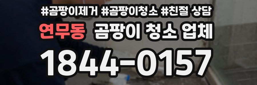 연무동 곰팡이 청소 업체