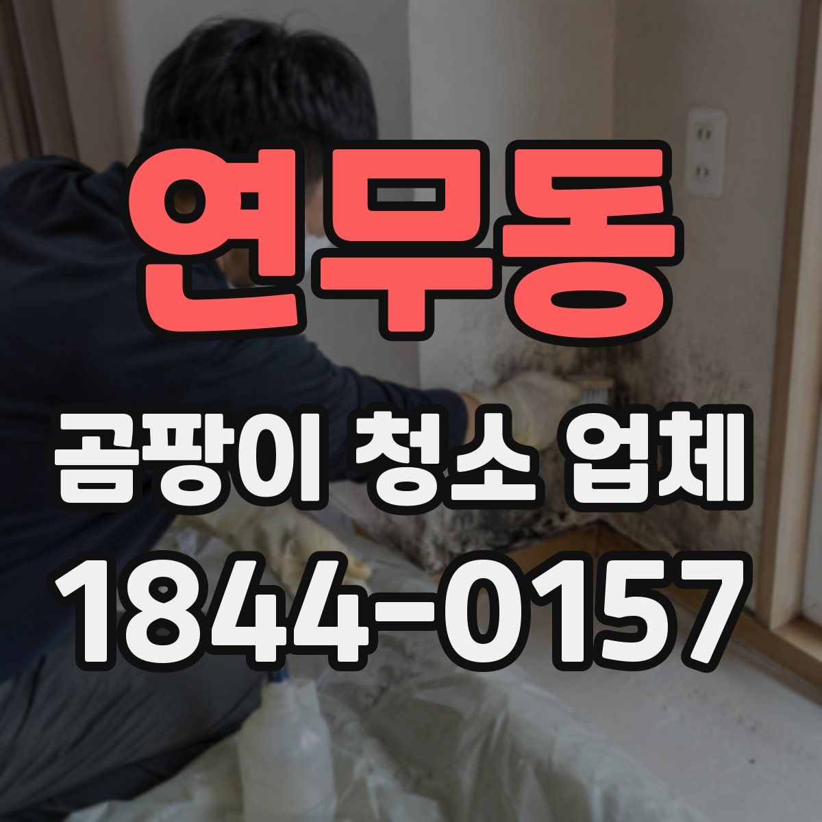 연무동 곰팡이 청소 업체