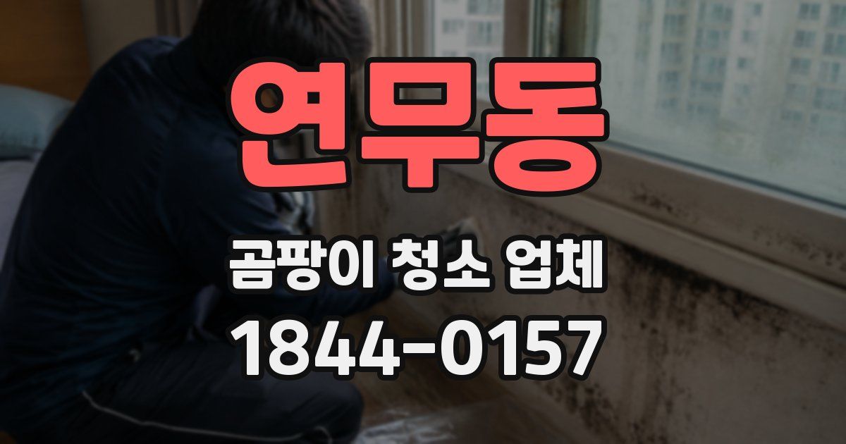 연무동 곰팡이 청소 업체