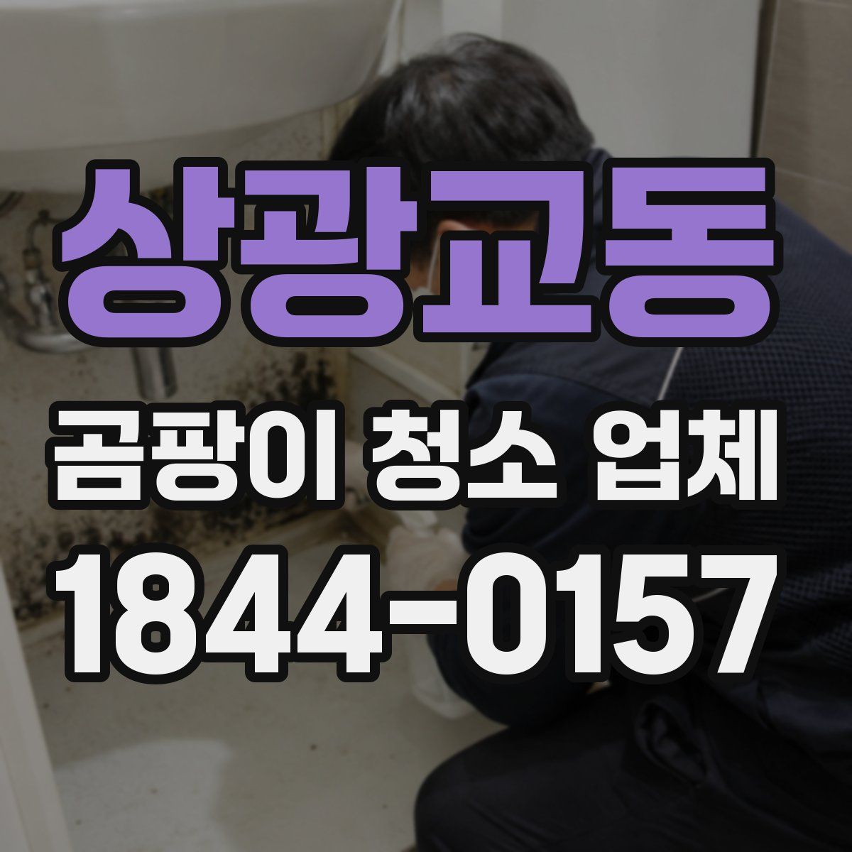 상광교동 곰팡이 청소 업체