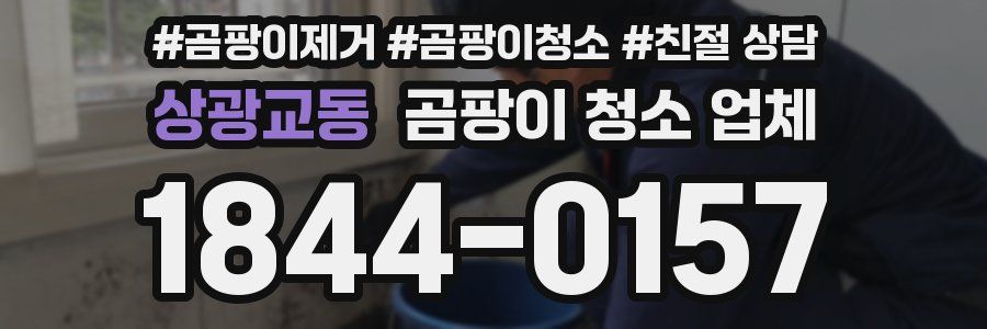 상광교동 곰팡이 청소 업체
