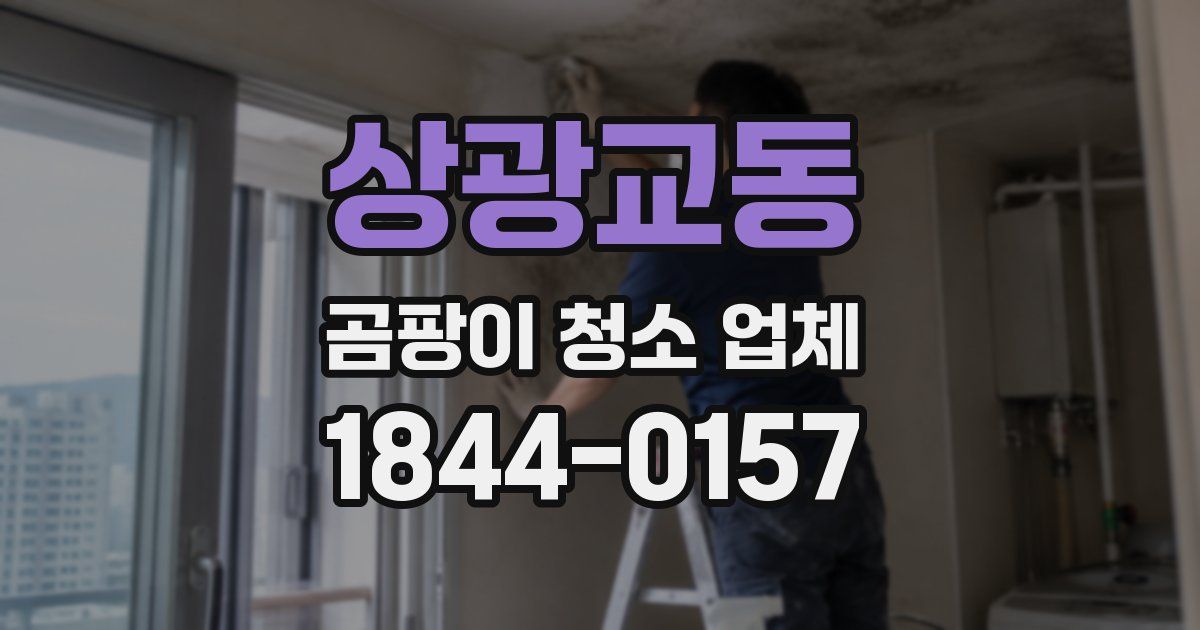 상광교동 곰팡이 청소 업체