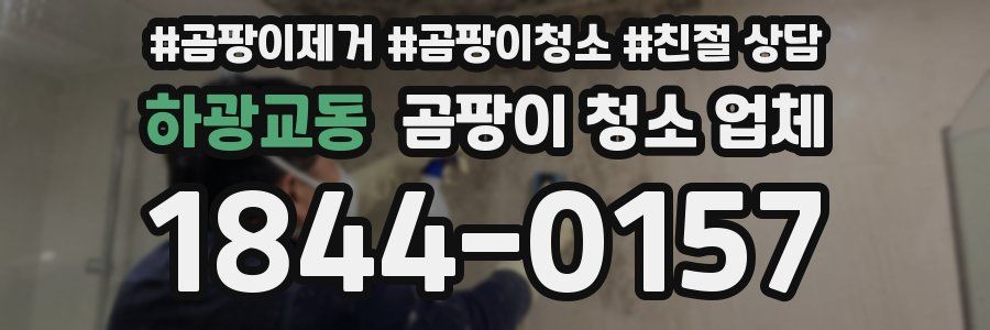하광교동 곰팡이 청소 업체