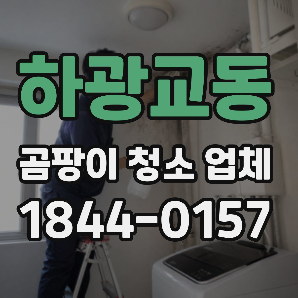 하광교동 곰팡이 청소 업체