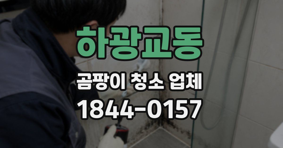 하광교동 곰팡이 청소 업체