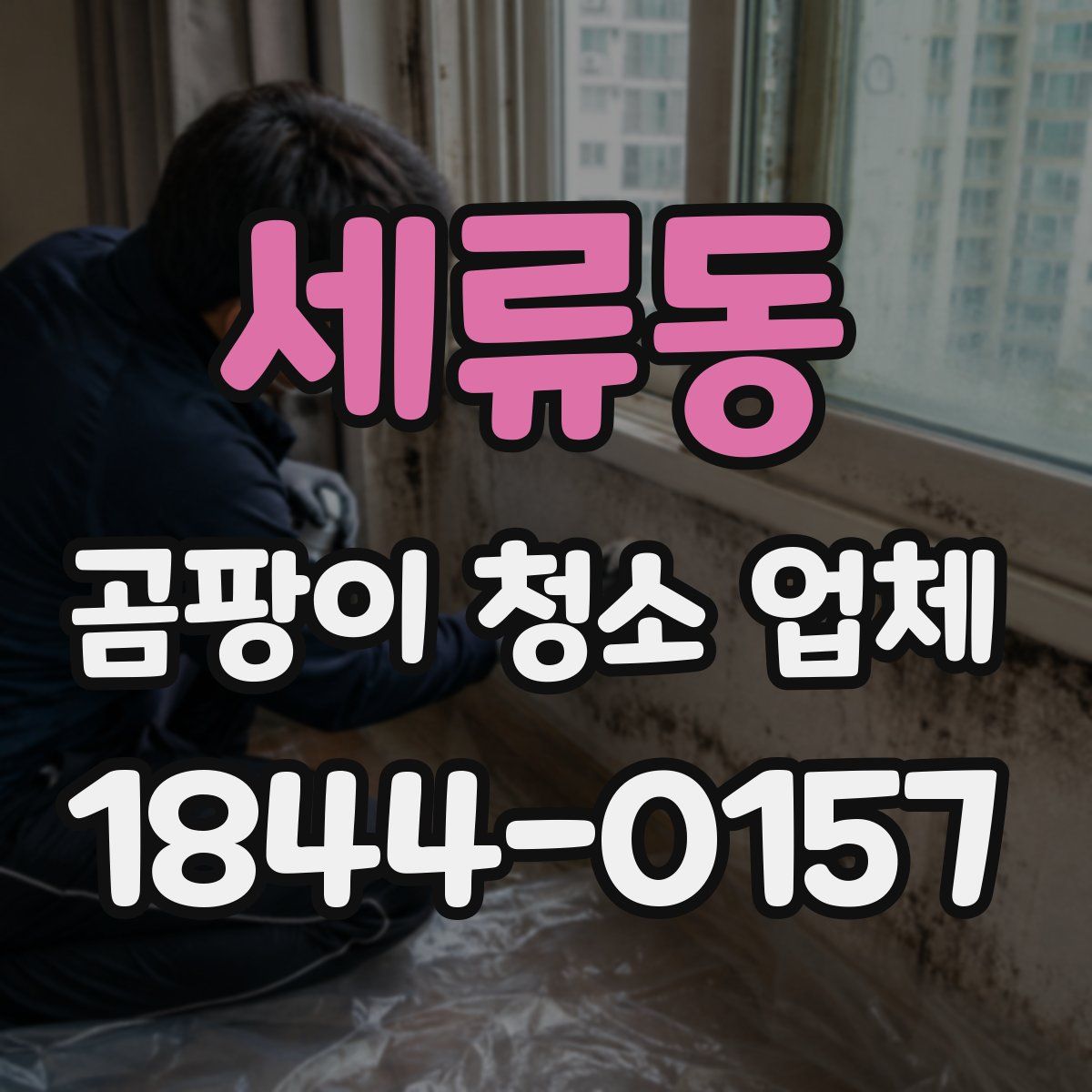 세류동 곰팡이 청소 업체
